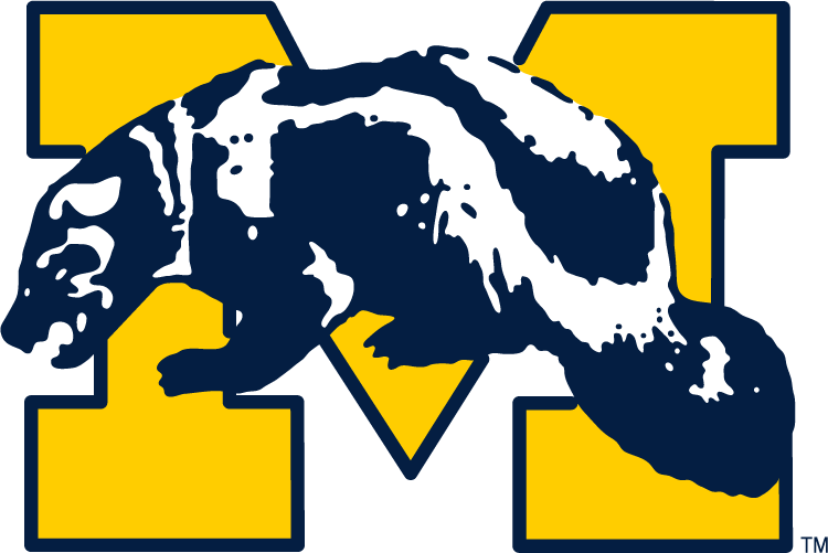 Michigan Wolverines 1964-1978 Primary Logo diy DTF decal sticker